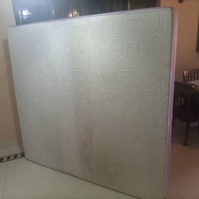 Master Molty Asli Foam 8 inch