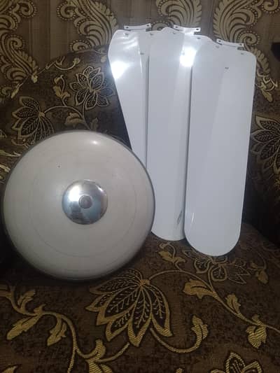 Two ceiling fans