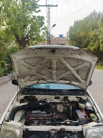 Suzuki cultus