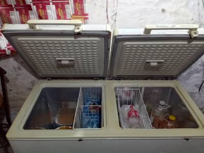 dowlance 03204108054
