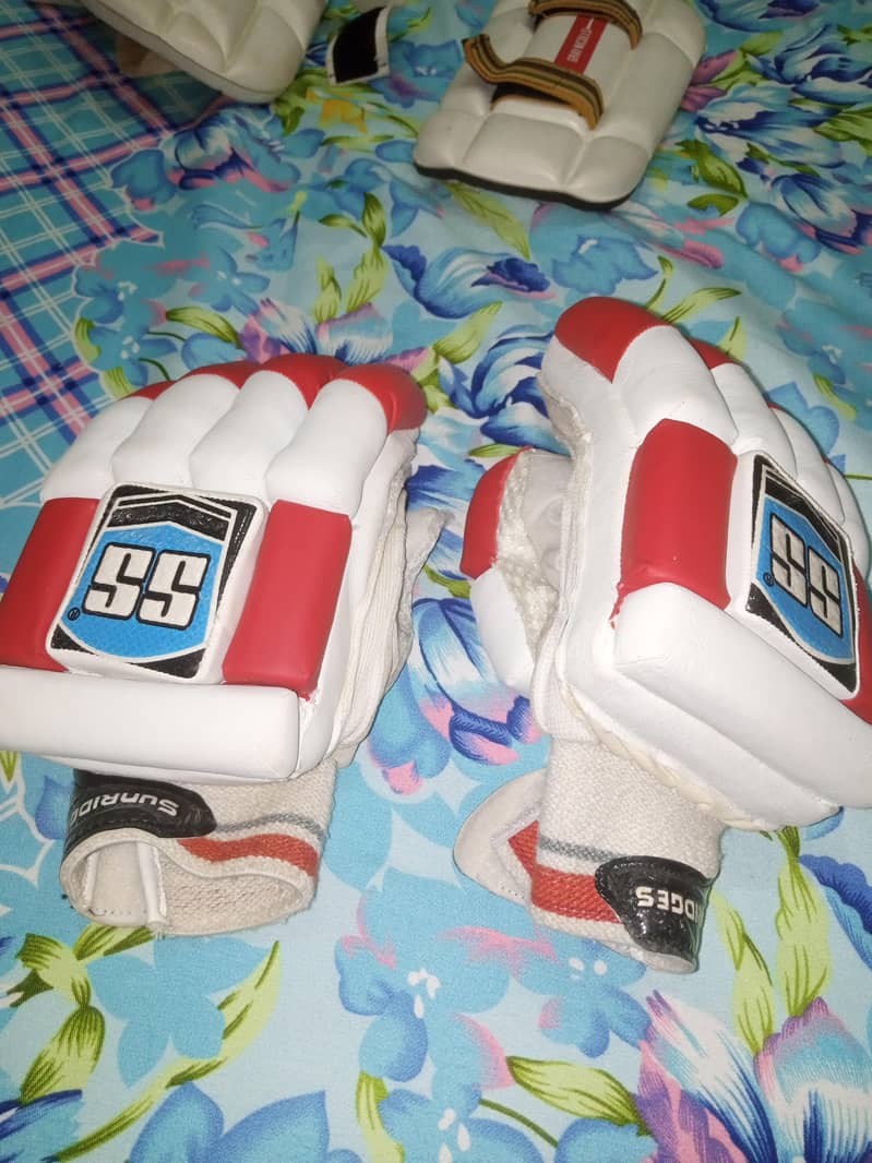 cricket kit 3