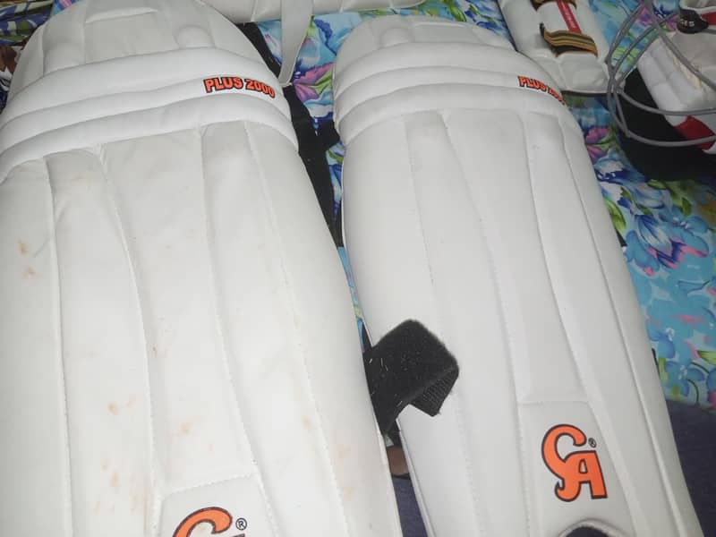 cricket kit 5