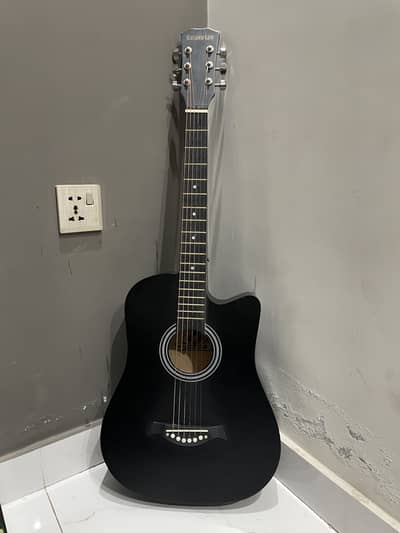 Acoustic guitar with bag