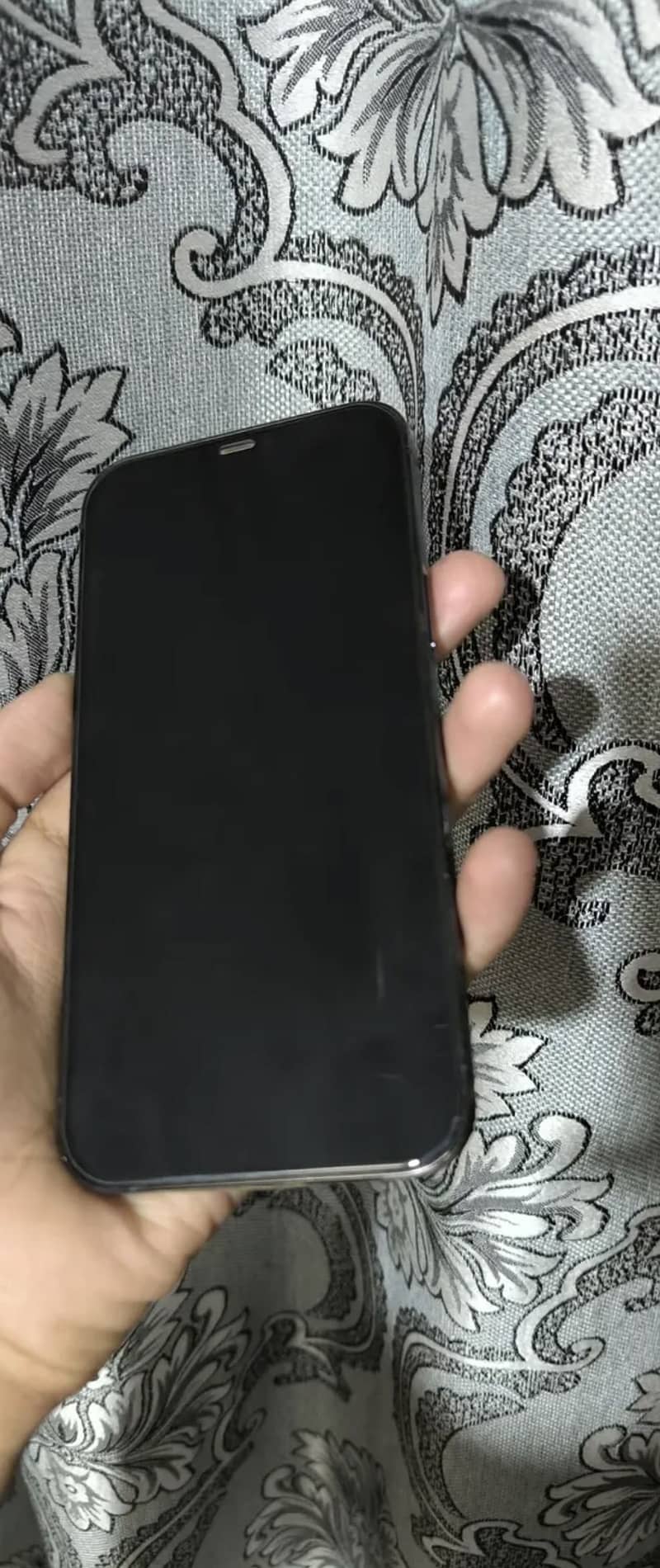 iPhone 12 Pro Max 6