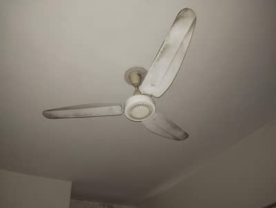 GFC Copper Wiring fan for sale