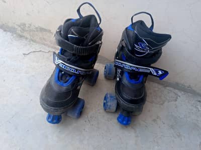 sketting shoes in very good condition