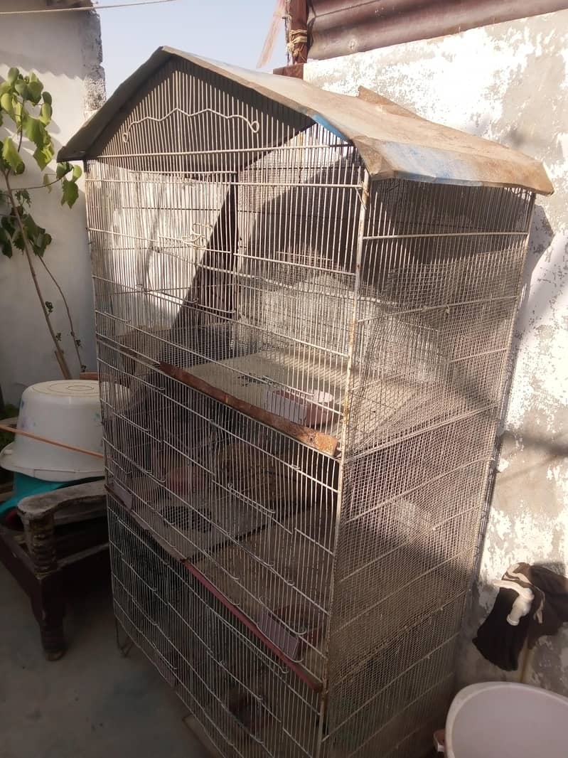 cages 1