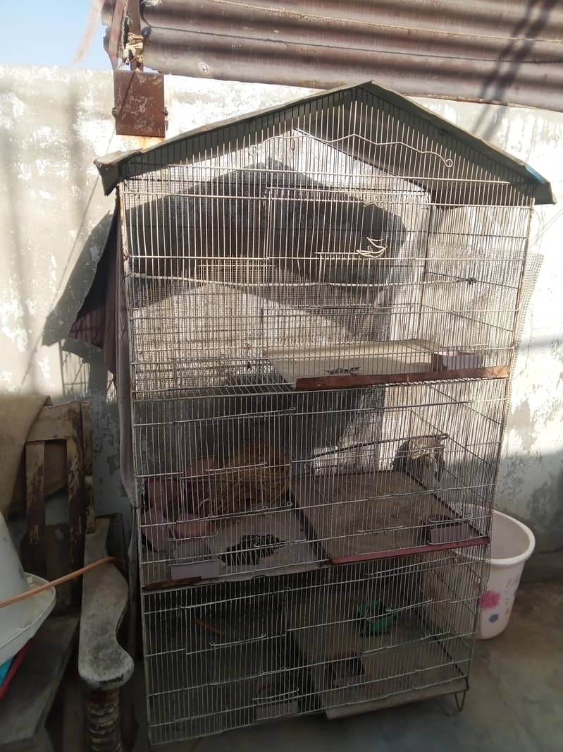 cages 2
