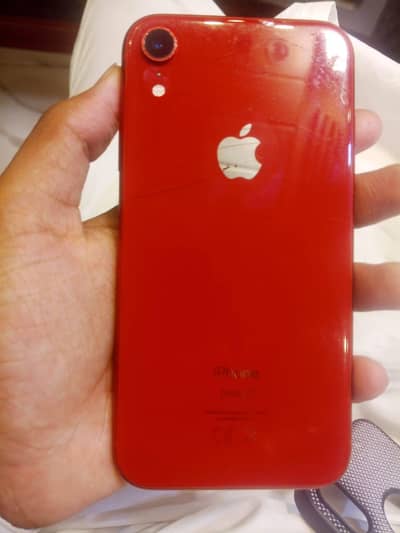 oppo12