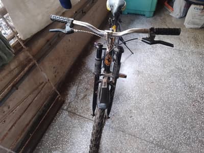 Cycle