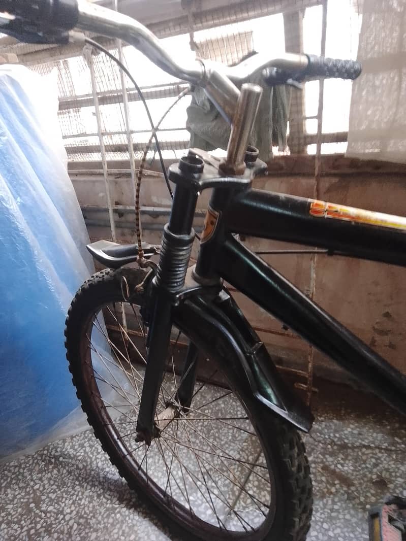 Cycle 2