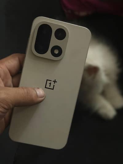 ONE plus 15 Box charger