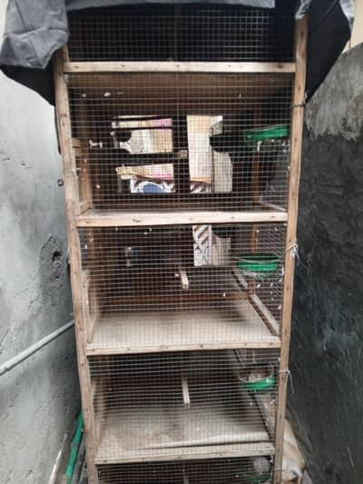 birds cage