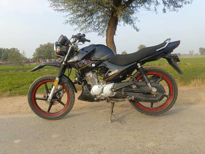Yamaha YBR 125G - Lush Condition - Trekker Tires