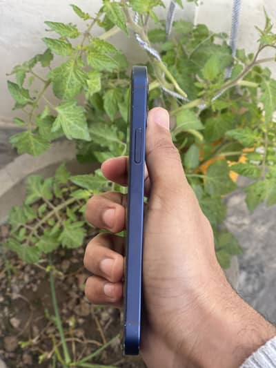Iphone 12 non(jv)