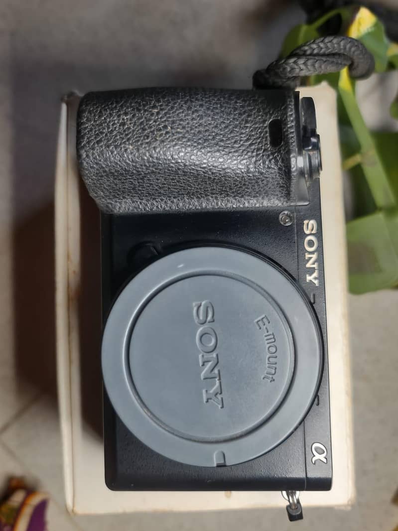 SONY 6500 8