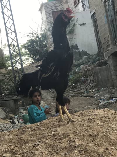 Acha patha hwa