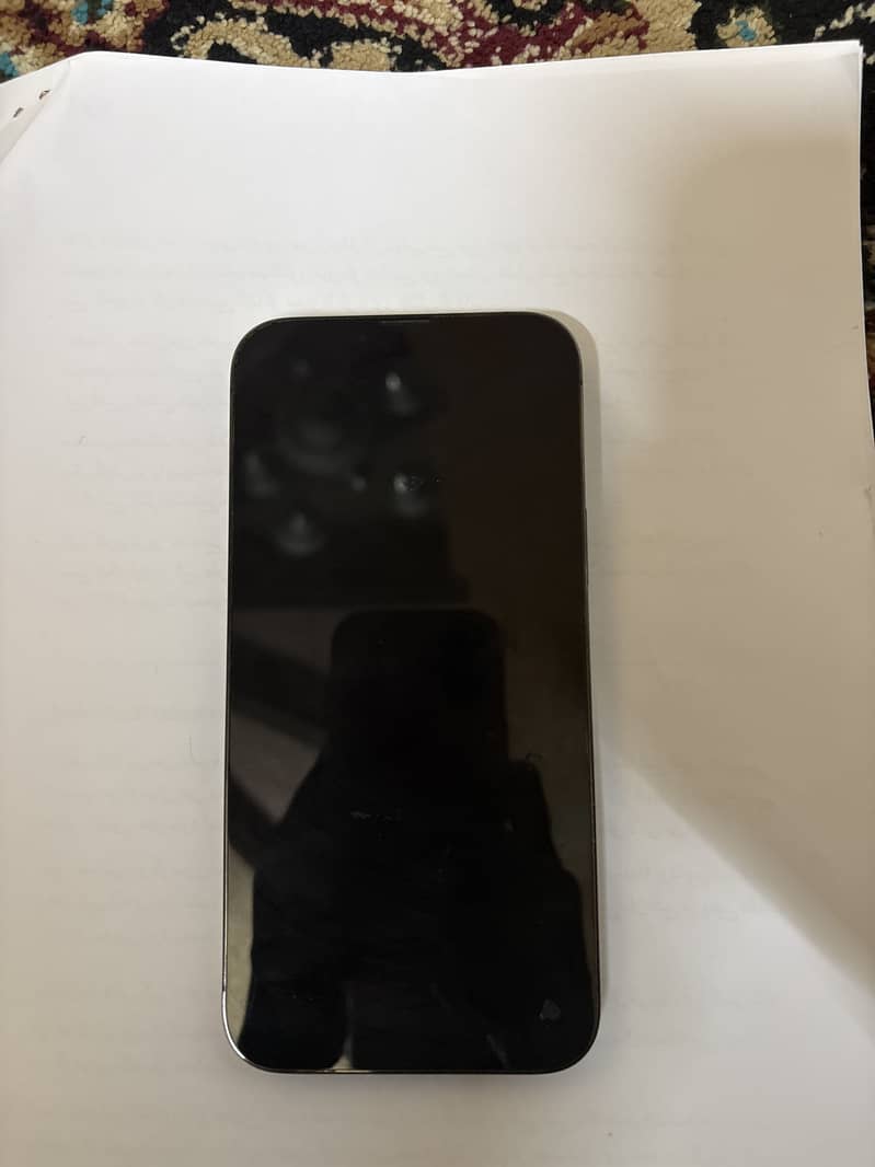 iPhone 13 Pro Max 1