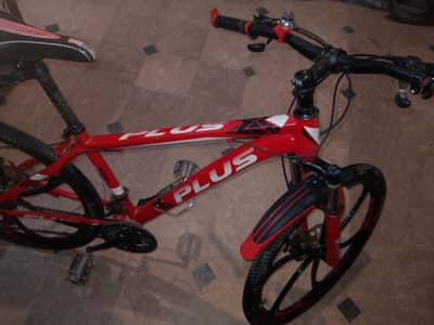 Mountain bicycle  full size