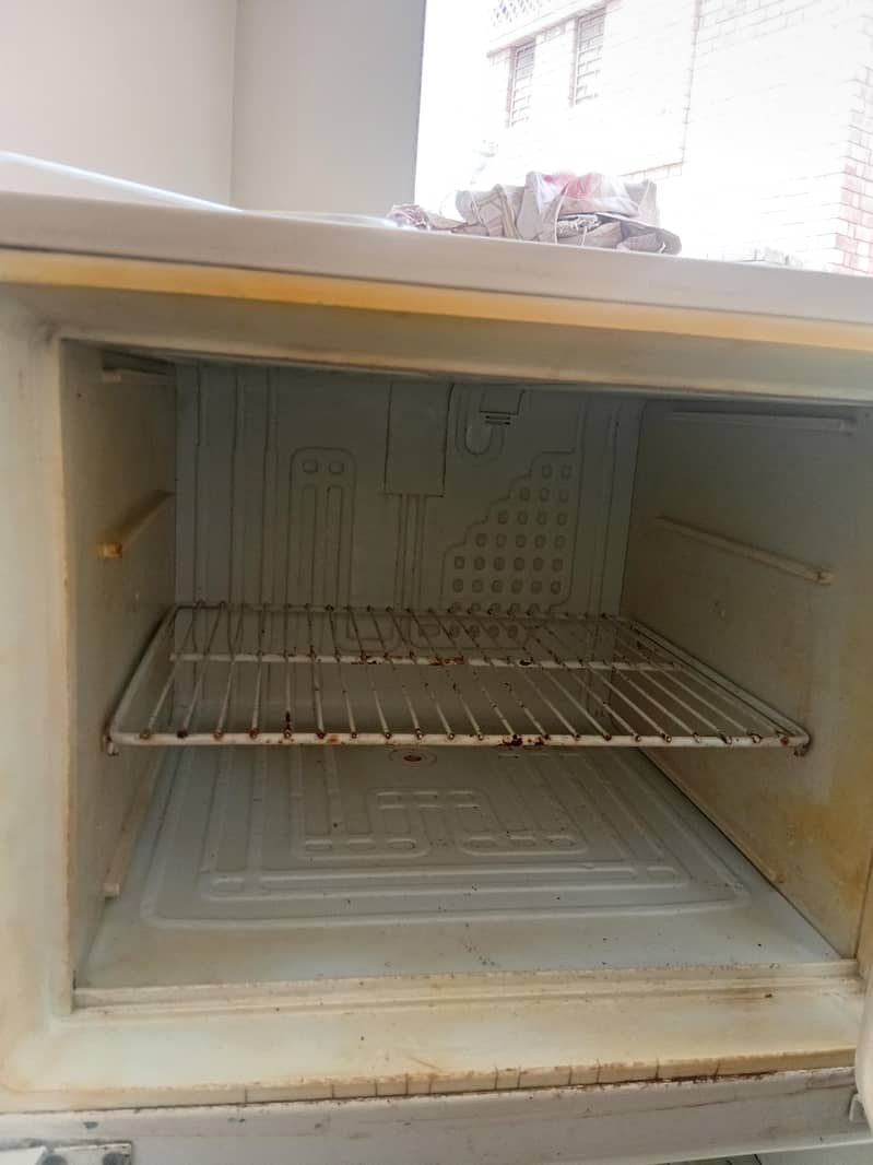Fridge 1