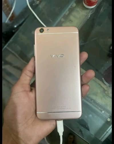 vivo y66 pta approved