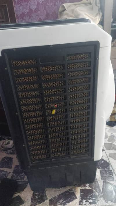Room cooler