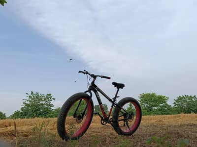 Fat Bicycle