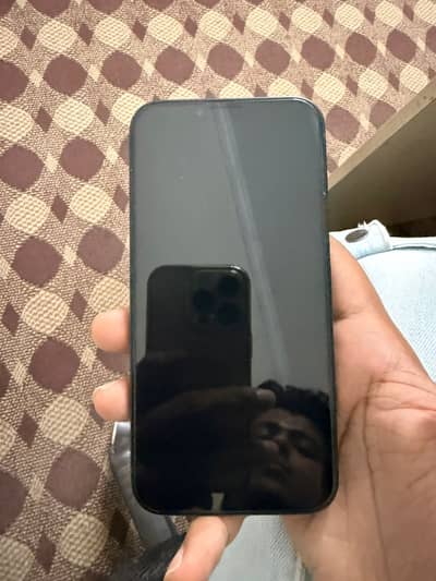Apple iPhone 13 JV 100% health