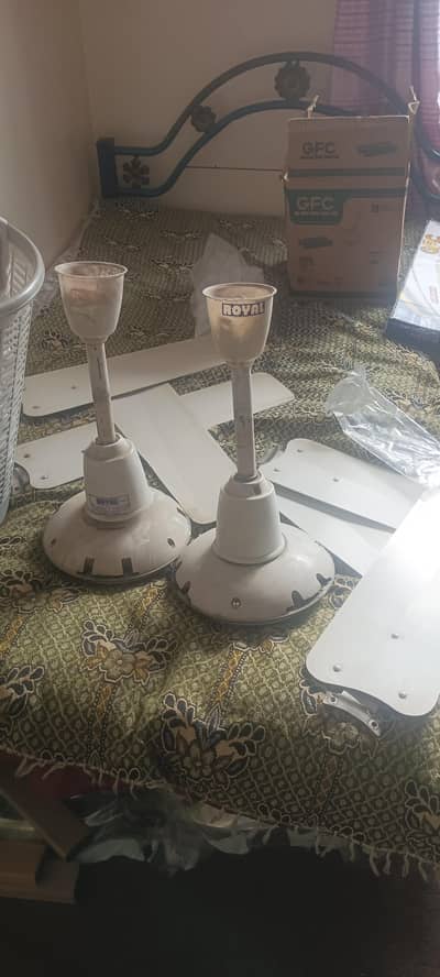 Royal fan for sale