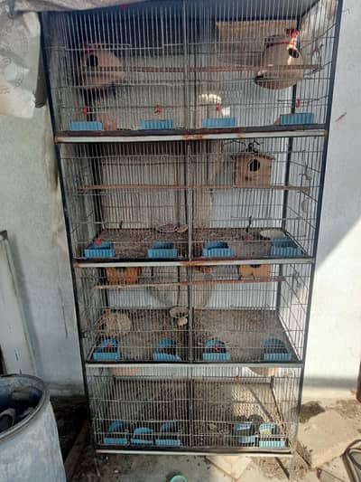 8 portion cage