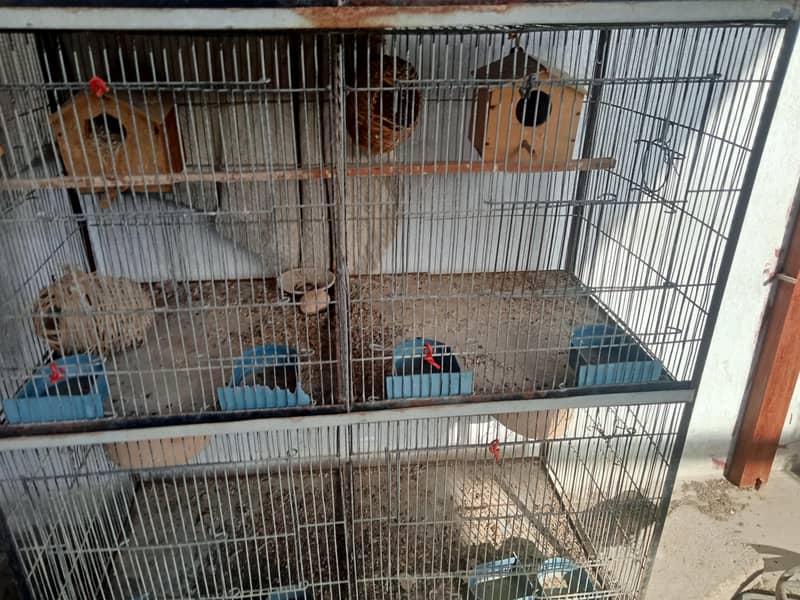 8 portion cage 2