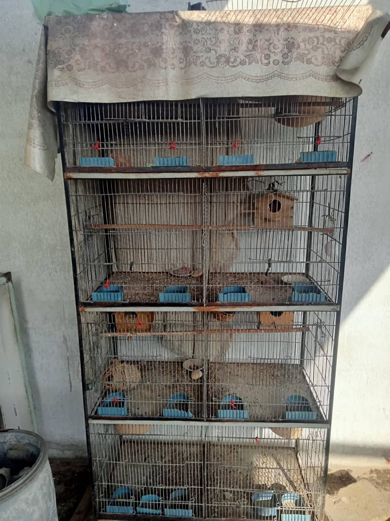 8 portion cage 3