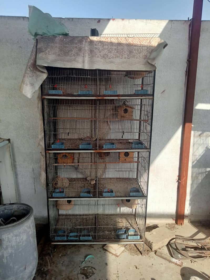 8 portion cage 4