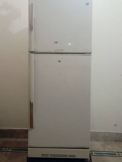 PEL Medium Large Refrigerator