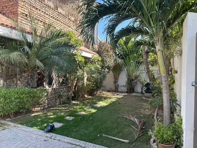 DHA TWO UNIT 500 YARDS BUNGALOW FOR RENT WITH BASEMENT