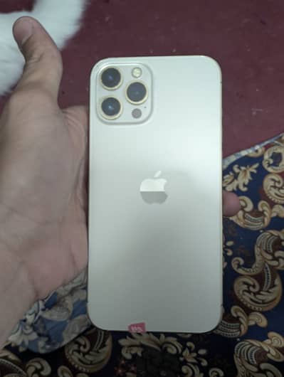 Apple iPhone 12 Pro Max