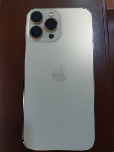13 pro max