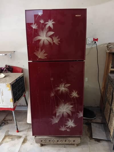 orint. fridge