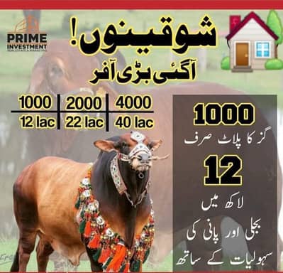 Cattle farm house