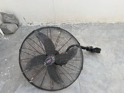Royal Bracket Fan For Sale