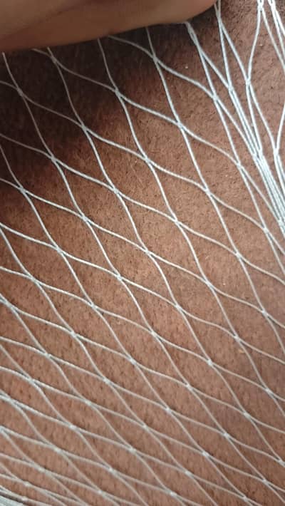 birds net/ pigeon net/ fishing net