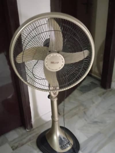 belvin fan