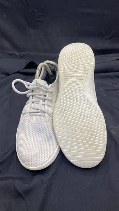 casual sneaker allbirds