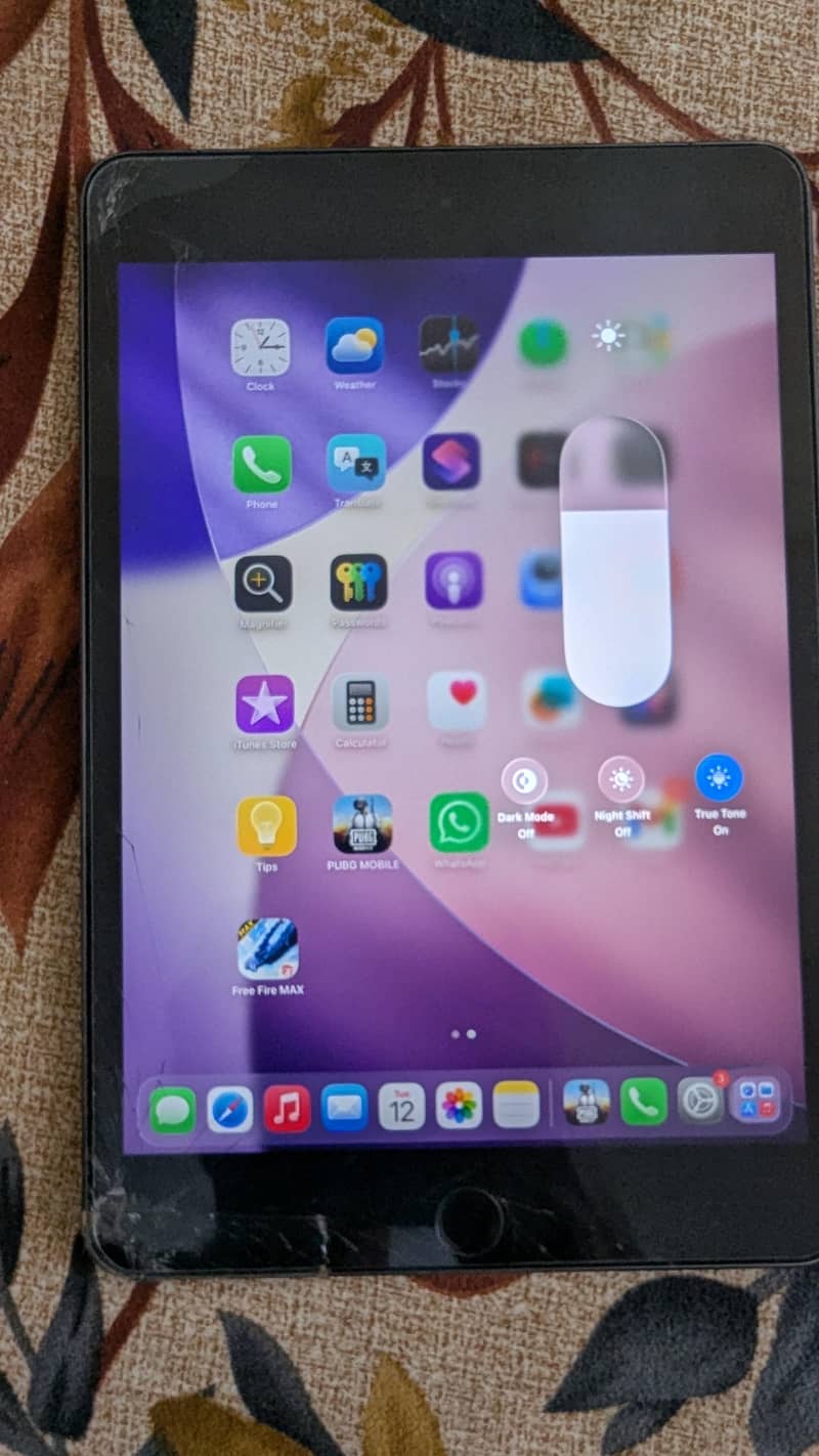 Ipad Mini 5 3