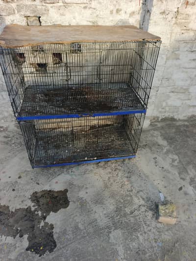 birds cages for sale