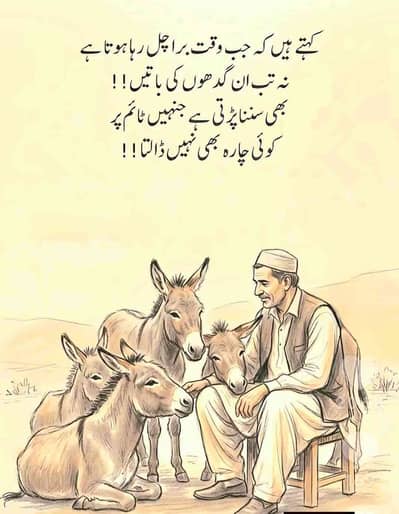 mohammad ibrahim