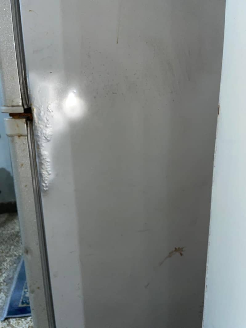 refrigerator 4