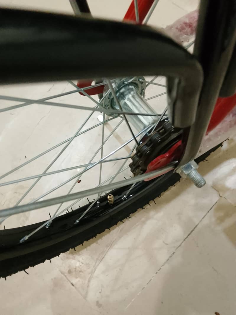 new cycle 6