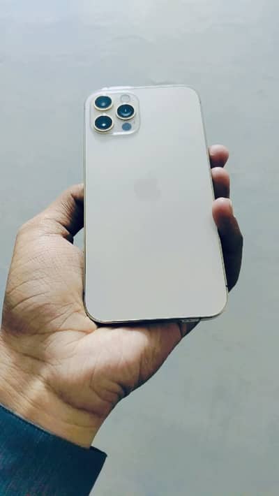 iPhone 12 pro