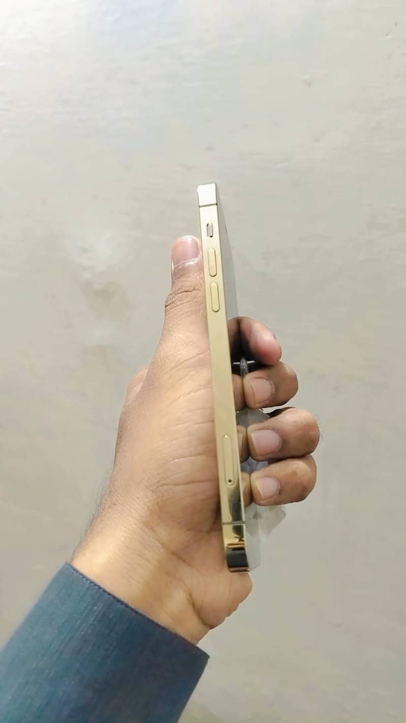 iPhone 12 pro 1